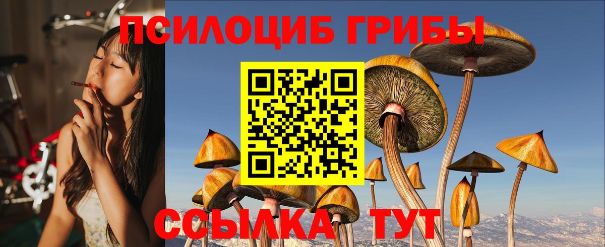 Иваново  Галлюциногенные грибы MAGIC MUSHROOMS  Вход с VPN 